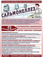 Профилактика сальмонеллеза Профилактика сальмонеллеза.