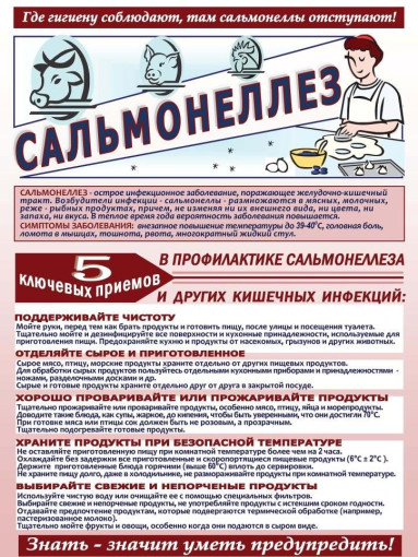 Профилактика сальмонеллеза Профилактика сальмонеллеза.